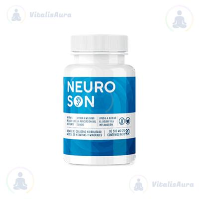 Neuroson